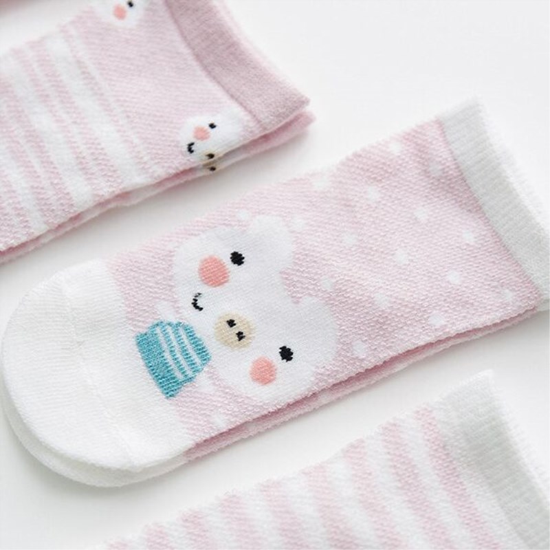 5 par/partia niemowlęce skarpe – Toddler Sock Set recenzja i cena